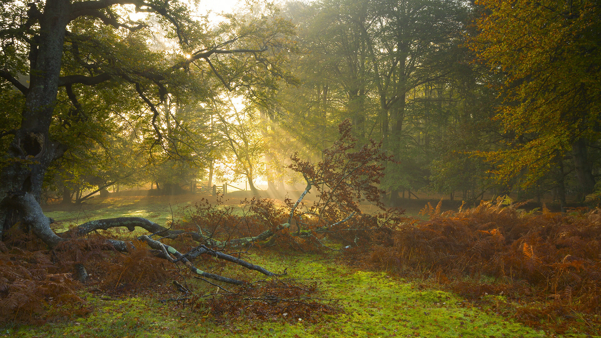 开云体育网页版入口-Alfa Romeo的隐形实力：未来有望成黑马，alfa romeo 2000 spider veloce